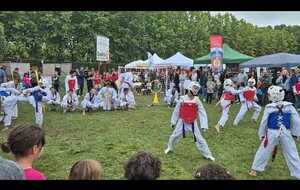 Démonstration fêtes du sports l'isle jourdain