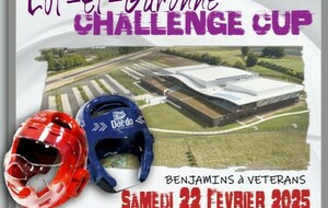 3eme Lot & Garonne Challenge Cup de taekwondo